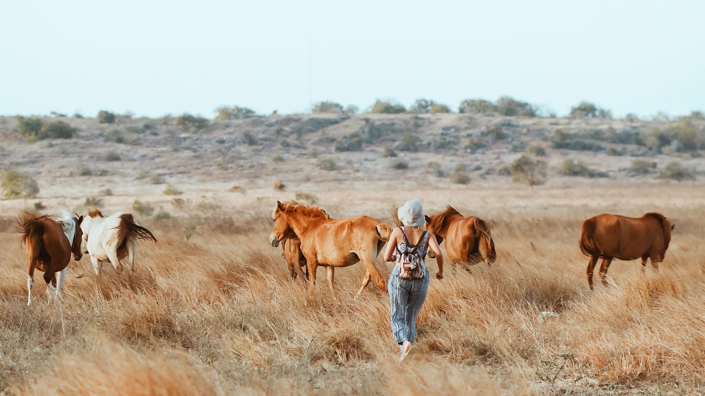 Her Journeys